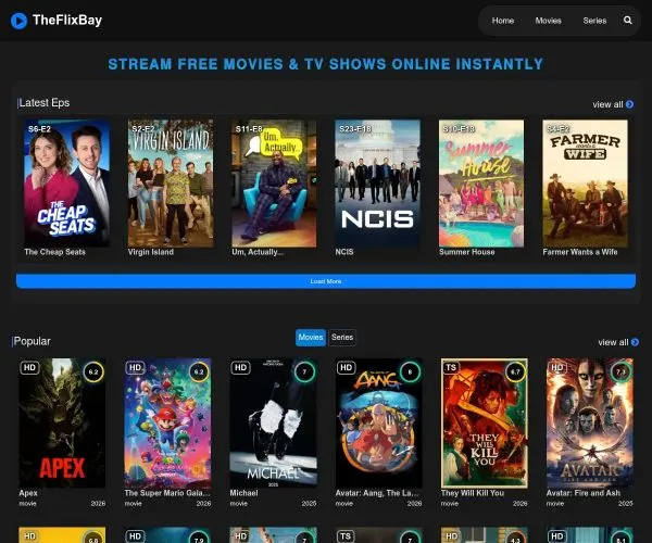 Screenshot of TheFlixBay